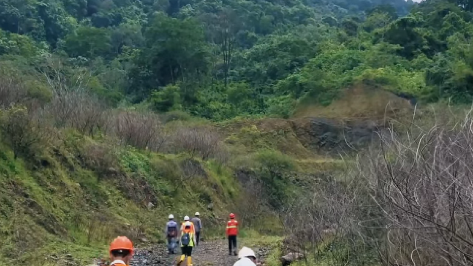 Reklamasi tambang nggak pernah berhasil